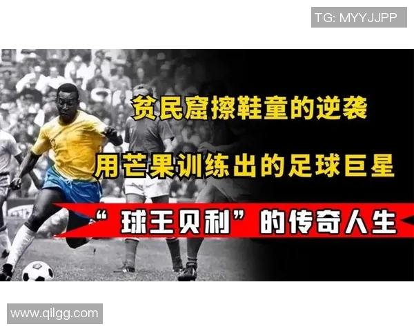 揭秘足球明星乌龟的真实身份与传奇故事背后的秘密