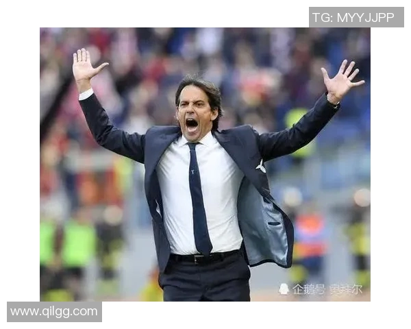 成都排球队灵活性引发热议球迷与专家各执己见探讨争议背后原因