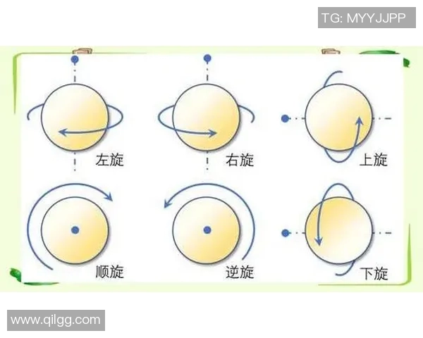 乒乓球战术解析：探秘北京乒乓球队的阵地战术体系与应用策略