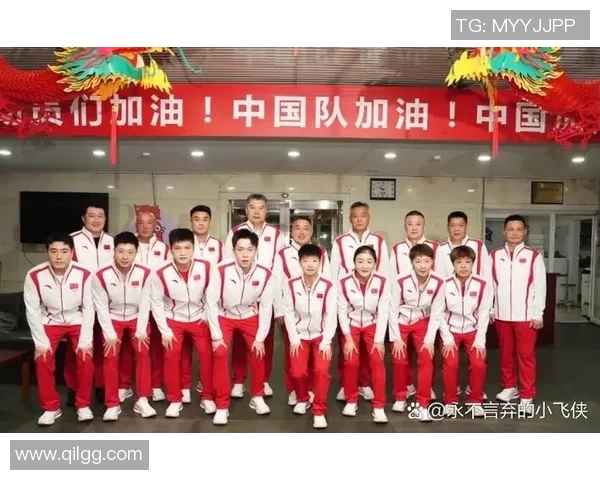 南京乒乓球队灵活性分析及其对其他球队的影响探讨