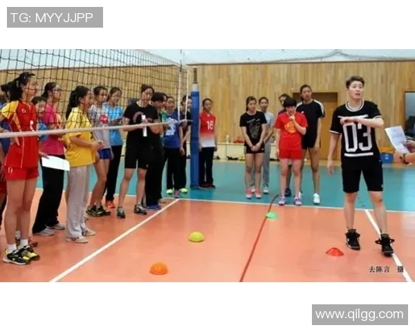 排球爱好者必看护腕选购指南及推荐品牌解析